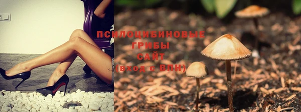 ешки Бронницы