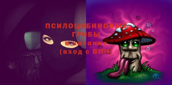 ECSTASY Бугульма
