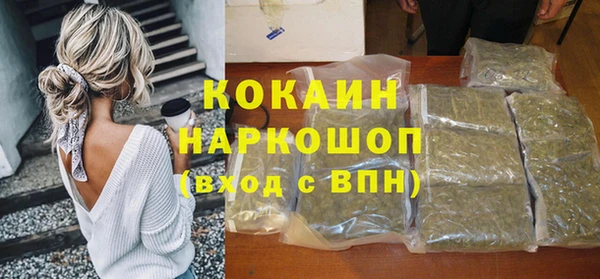 ешки Бронницы