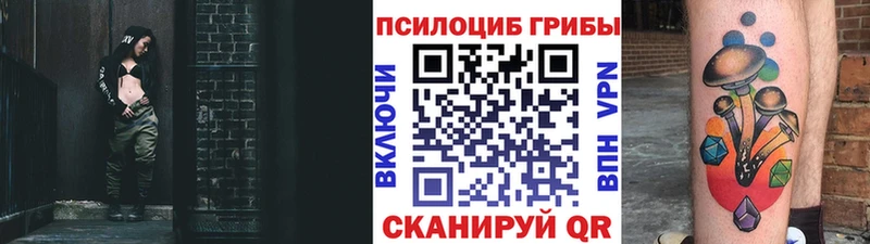 Галлюциногенные грибы Psilocybe  Купить где  Неман 